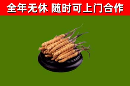 大荔县回收冬虫夏草