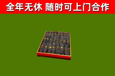 大荔县回收海参